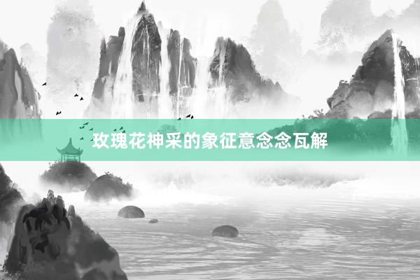 玫瑰花神采的象征意念念瓦解