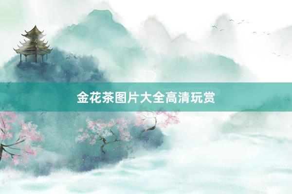 金花茶图片大全高清玩赏